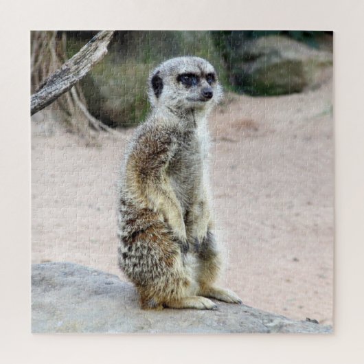 Puzzle stand de meerkat (Vertical)
