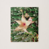 Puzzle Stapelia Starfish Cactus Photo Flower (Vertical)