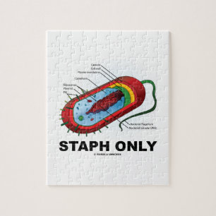 Puzzle Staph seulement (Bacterium Diagram Prokaryote Bact