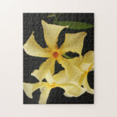 Puzzle Star Jasmine Flower 11x14 jpcna 252pc (Vertical)