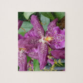 Puzzle Star Orchids (Vertical)