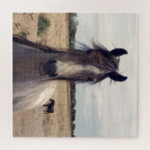 Puzzle Star The Arab Pony, (Horizontal)