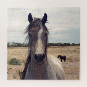 Puzzle Star The Arab Pony,