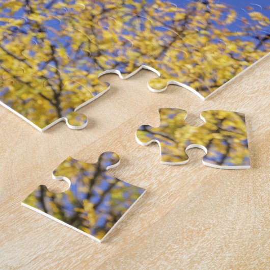 Puzzle Statue d'Alexander Hamilton (Côté)