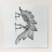 Puzzle Stegosaurus Dinosaure Squelette Fossile (Horizontal)