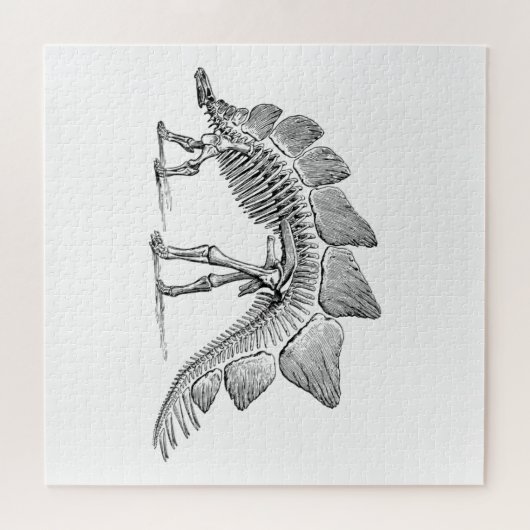 Puzzle Stegosaurus Dinosaure Squelette Fossile (Horizontal)