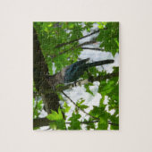 Puzzle Steller's Jay dans le parc national de Yosemite (Vertical)