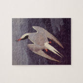 Puzzle Sterne arctique par John James Audubon, Oiseaux vi (Horizontal)