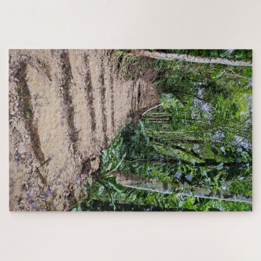 Puzzle Stone Steps Through Green (Horizontal)