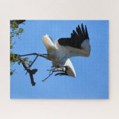 Puzzle Stork de bois dans la nature (Horizontal)