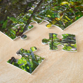 Puzzle Strangler Fig, Big Cypress National Preserve, FL (Côté)