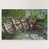 Puzzle Strangler Fig, Big Cypress National Preserve, FL (Horizontal)