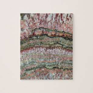 Puzzle Stromatolites fossilisé