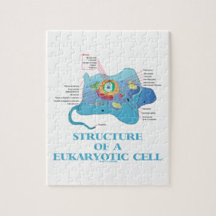Puzzle Structure d'une cellule eucaryotique (eucaryote)
