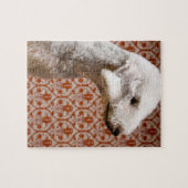 Puzzle Studio photo de Bedlington Terrier (Horizontal)