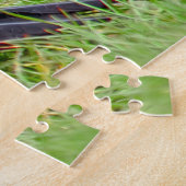 Puzzle Stunning Northern Flicker Foraging in the Grass (Côté)