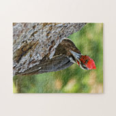 Puzzle Stunning Portrait of Pileated Woodpecker on Tree (Horizontal)