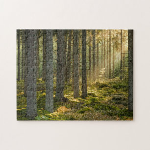 Puzzle Stunning Scenes 11" x 14"
