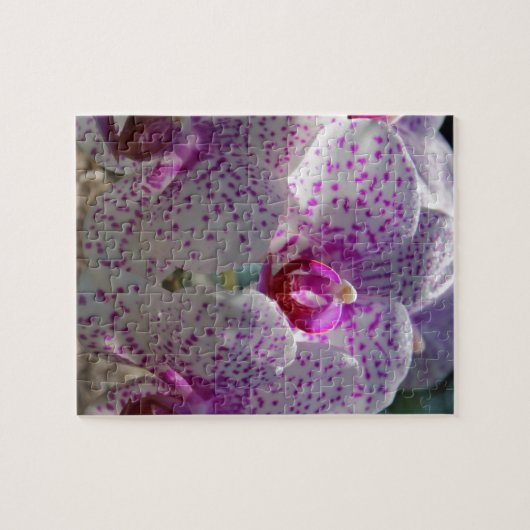 Puzzle Stupéfié (Horizontal)