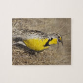 Puzzle Sturnelle de l'Ouest (Strunella neglecta) (Horizontal)