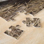 Puzzle Sturnelle de l'Ouest (Strunella neglecta) (Côté)