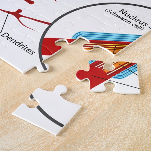 Puzzle Style de nerf de neurones (Côté)