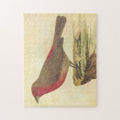 Puzzle Style vintage, Oiseau debout sur une haie (Vertical)