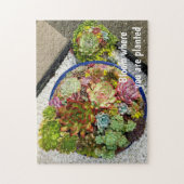 Puzzle Succès dans le planteur (Vertical)