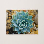 Puzzle Succulent (Horizontal)