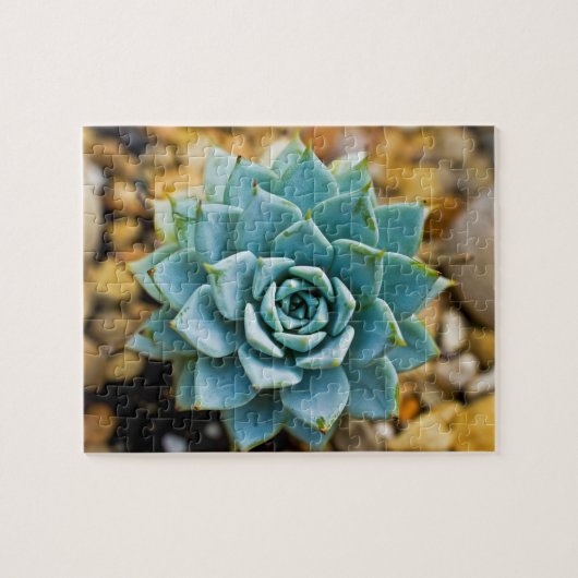 Puzzle Succulent (Horizontal)
