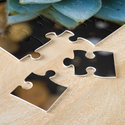 Puzzle Succulent (Côté)