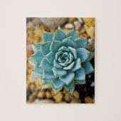 Puzzle Succulent (Vertical)