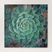 Puzzle Succulent en gros plan (Horizontal)