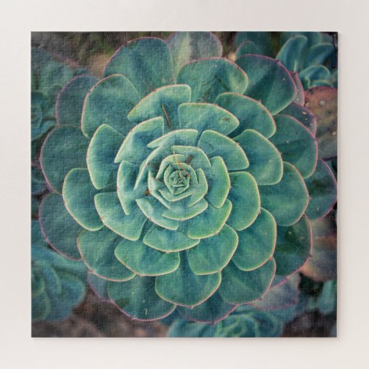 Puzzle Succulent en gros plan (Horizontal)
