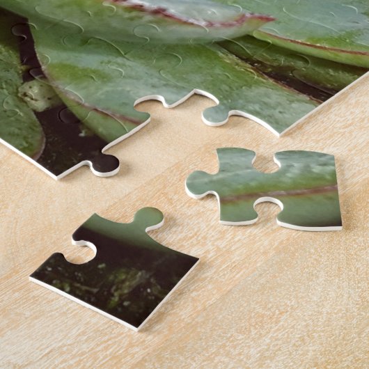 Puzzle Succulent, poules et poulets (Côté)