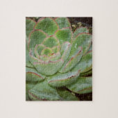 Puzzle Succulent, poules et poulets (Vertical)