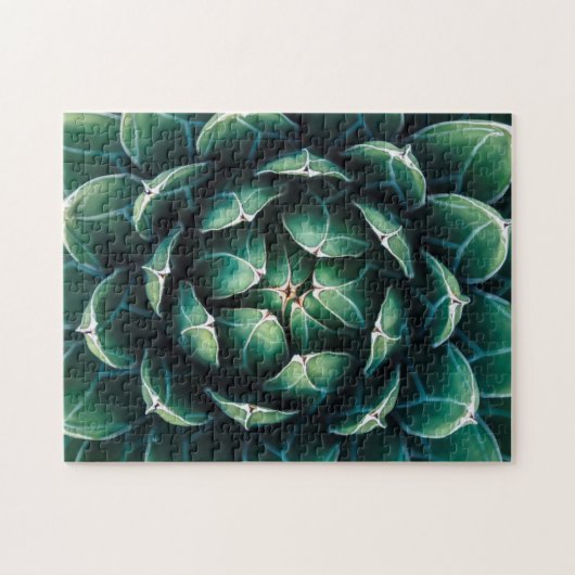 Puzzle Succulent vert et blanc (Horizontal)