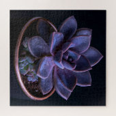 Puzzle Succulente (Horizontal)