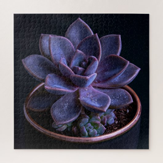 Puzzle Succulente (Vertical)