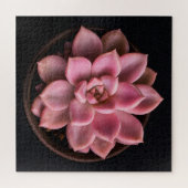 Puzzle Succulente (Horizontal)