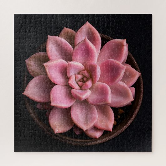 Puzzle Succulente (Vertical)