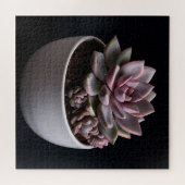 Puzzle Succulente (Horizontal)