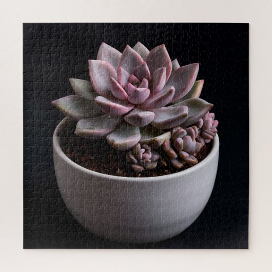 Puzzle Succulente (Vertical)