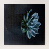 Puzzle Succulente (Horizontal)