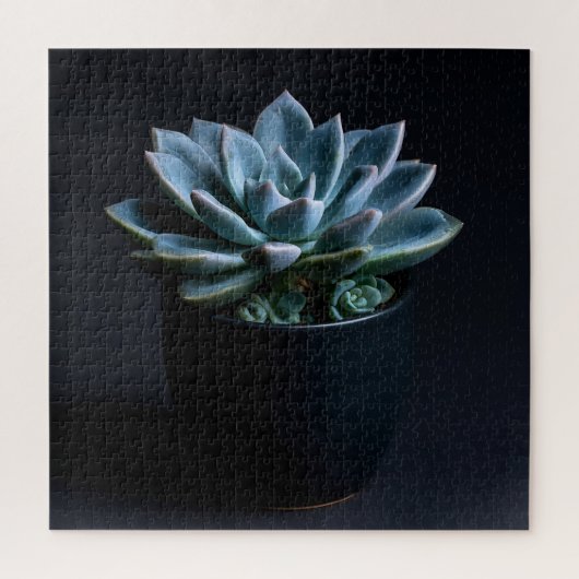 Puzzle Succulente (Vertical)