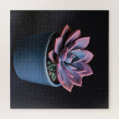 Puzzle Succulente (Horizontal)