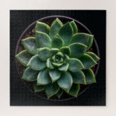 Puzzle Succulente (Horizontal)
