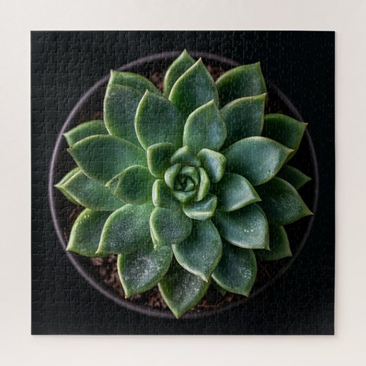 Puzzle Succulente (Vertical)