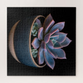 Puzzle Succulente (Horizontal)