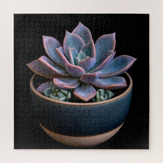 Puzzle Succulente (Vertical)